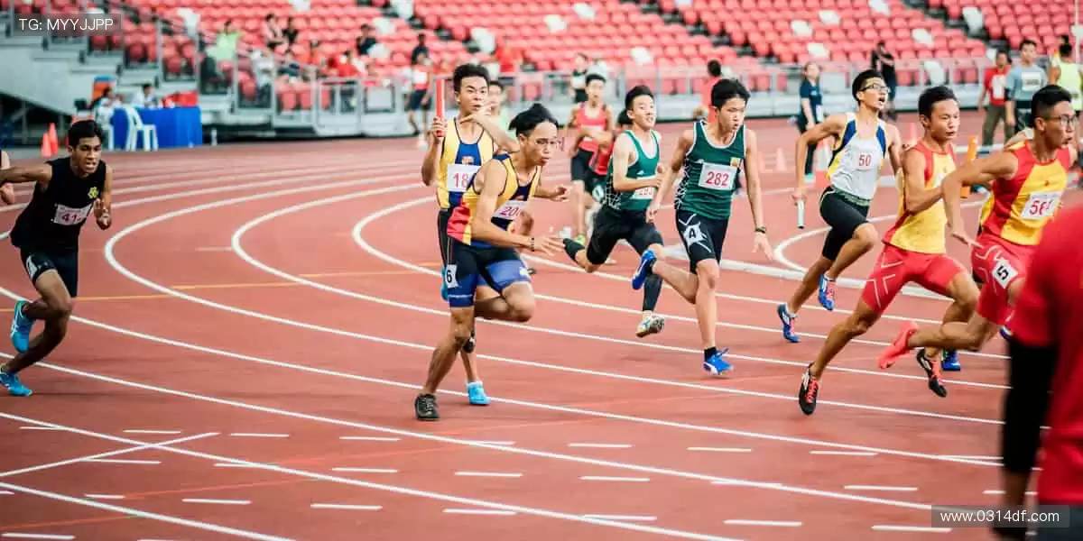 🎙️深度解读，冠军之路！🏆揭秘赛场背后的热血与汗水！